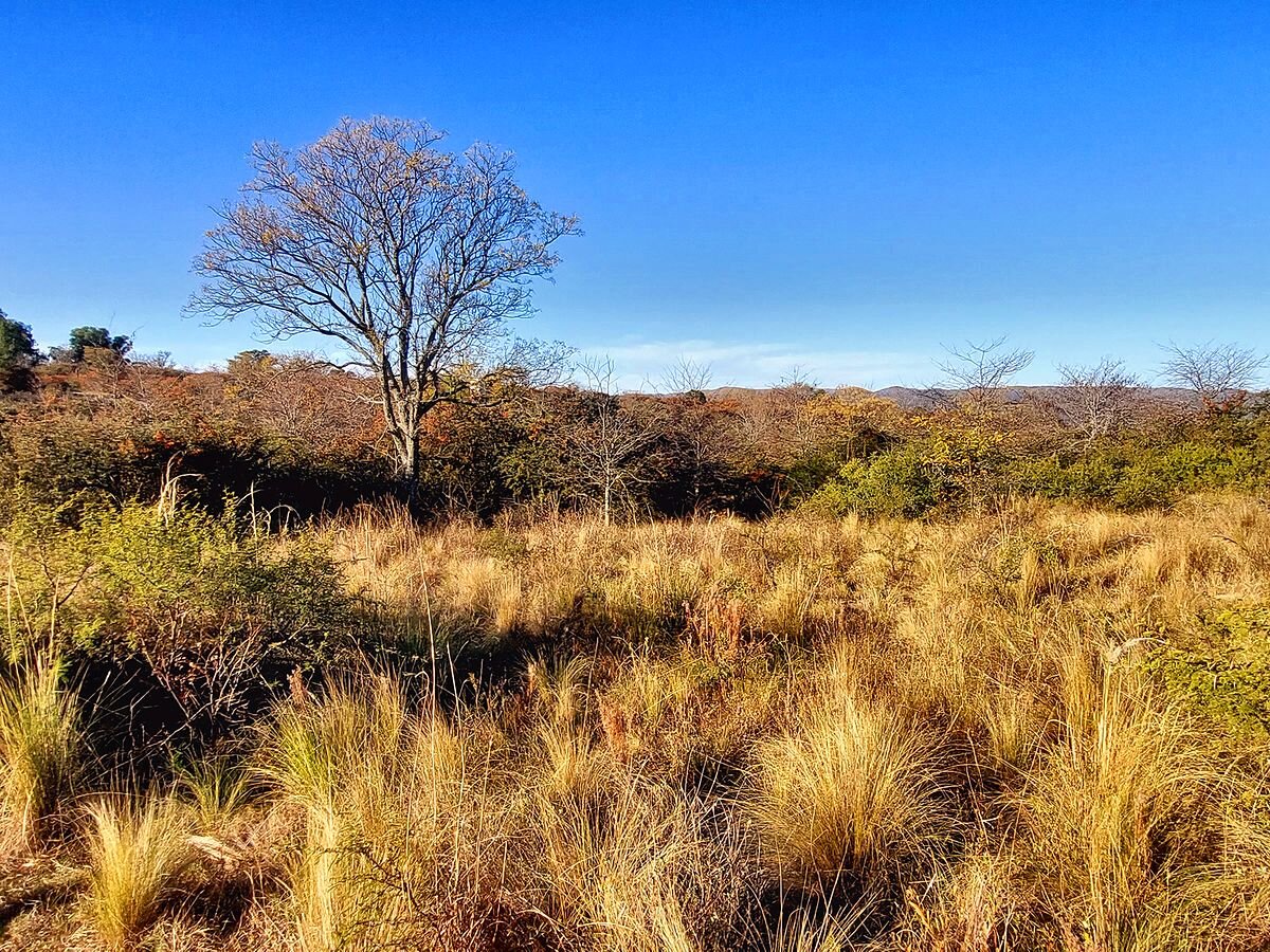 Lote en venta 625 m² con escritura en Capilla Vieja, Los Reartes