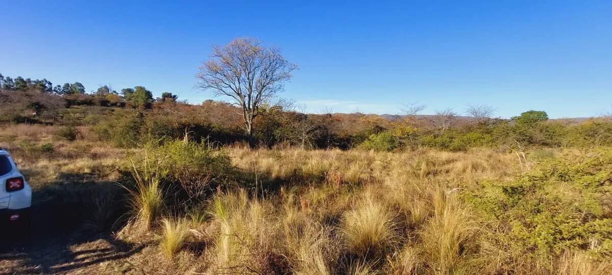 Lote en venta 625 m² con escritura en Capilla Vieja, Los Reartes — foto 4