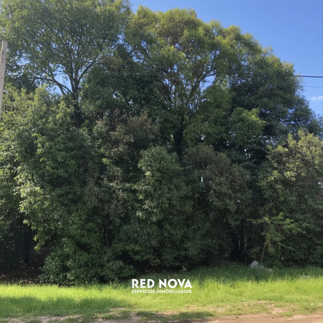 Lote en venta 300 m² en Campos Verdes, Villa Catalina — foto 8
