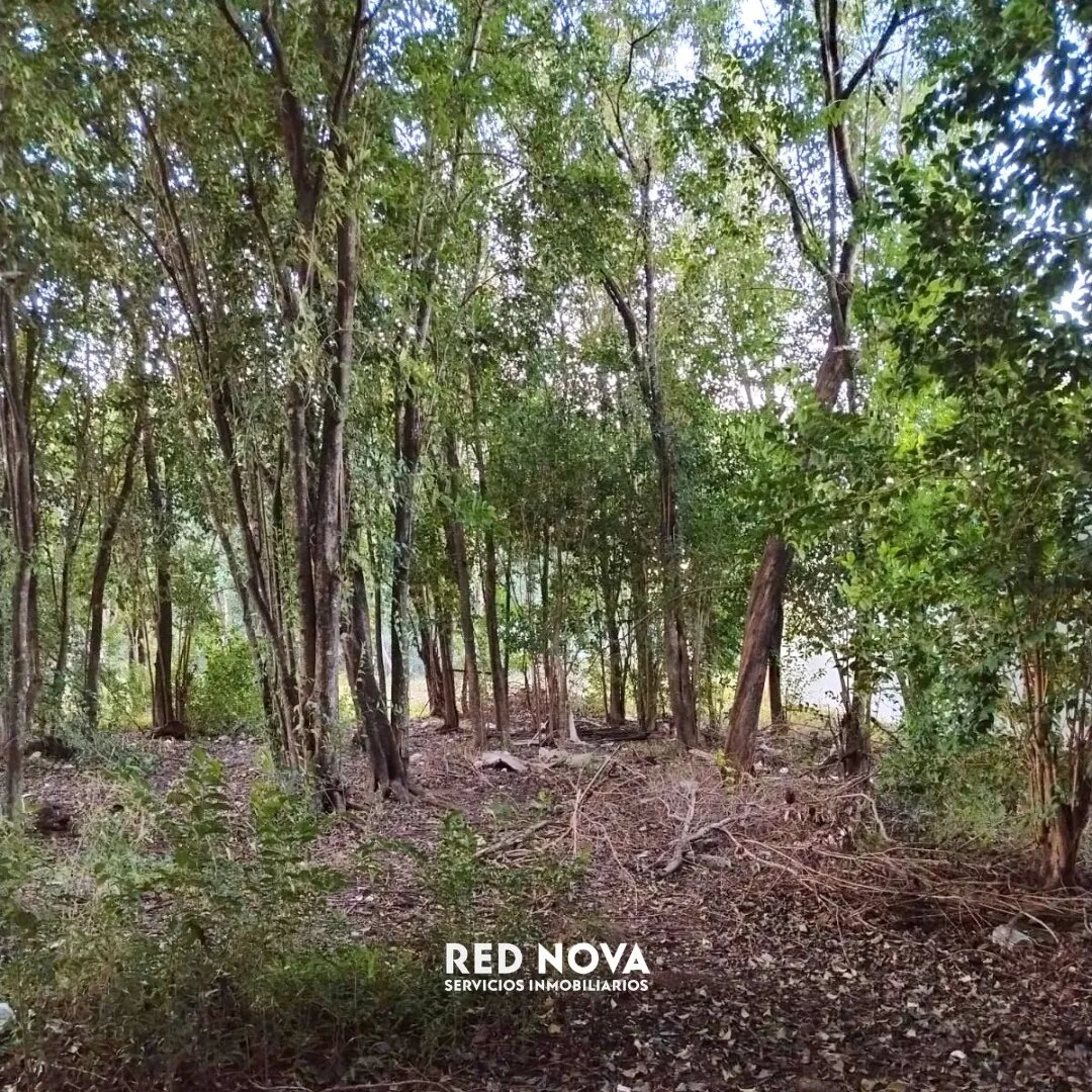 Lote en venta 300 m² en Campos Verdes, Villa Catalina — foto 4