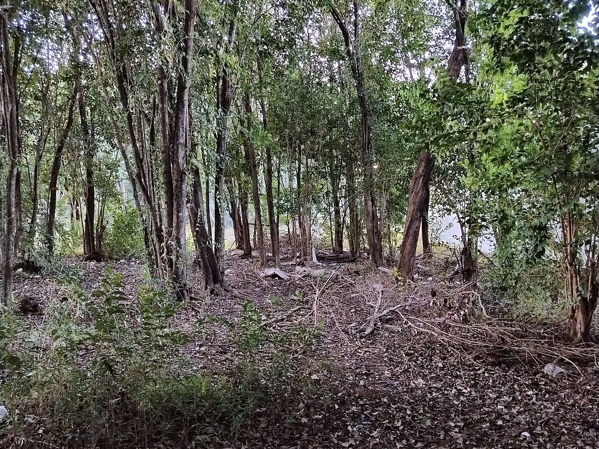 Lote en venta 300 m² con escritura en Campos Verdes, Villa Catalina, Río Ceballos