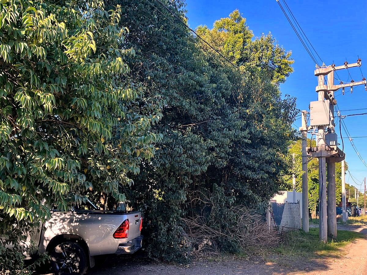 Lote en venta 300 m² con escritura en Campos Verdes, Villa Catalina, Río Ceballos - 5
