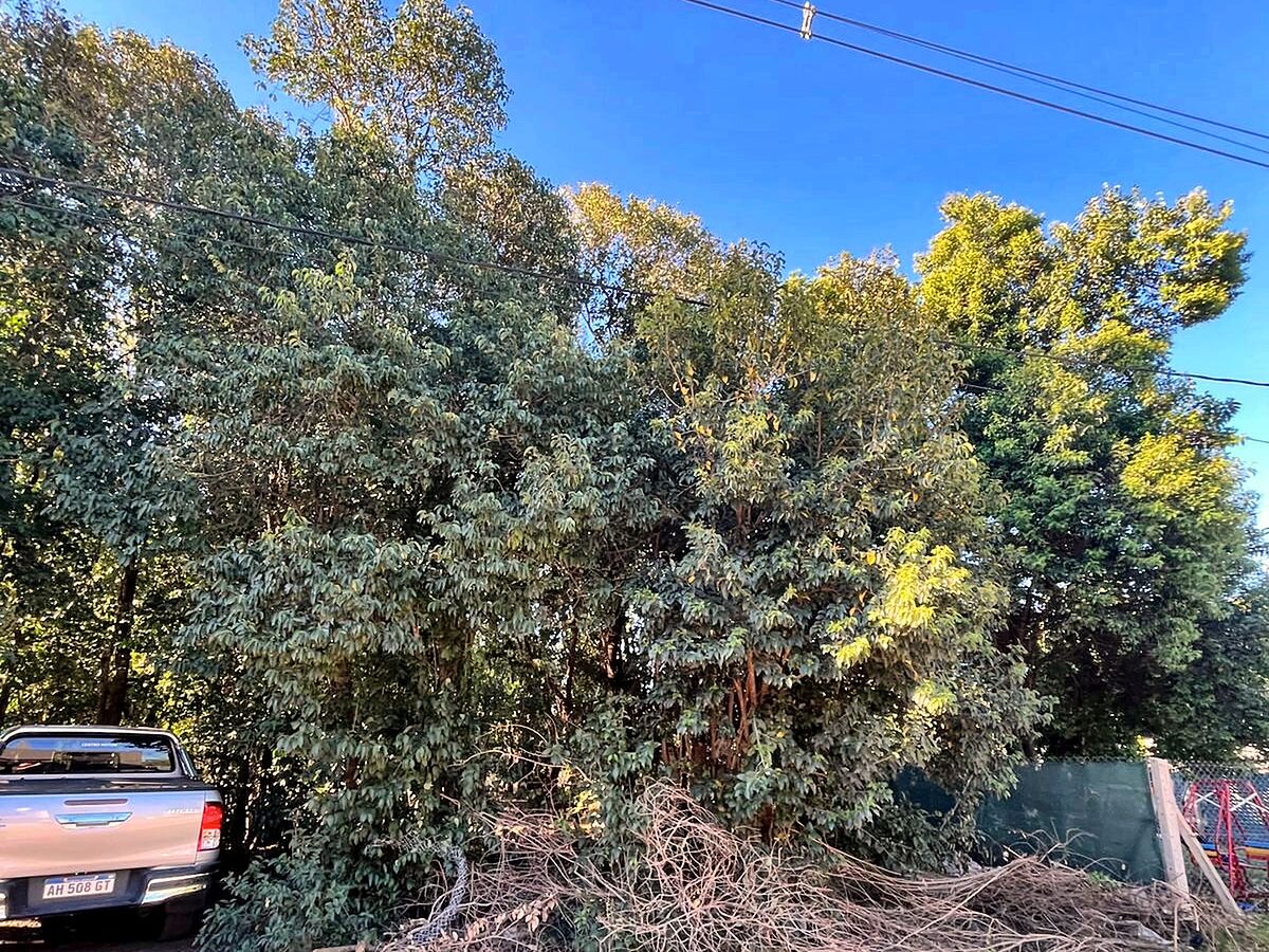 Lote en venta 300 m² con escritura en Campos Verdes, Villa Catalina, Río Ceballos - 7