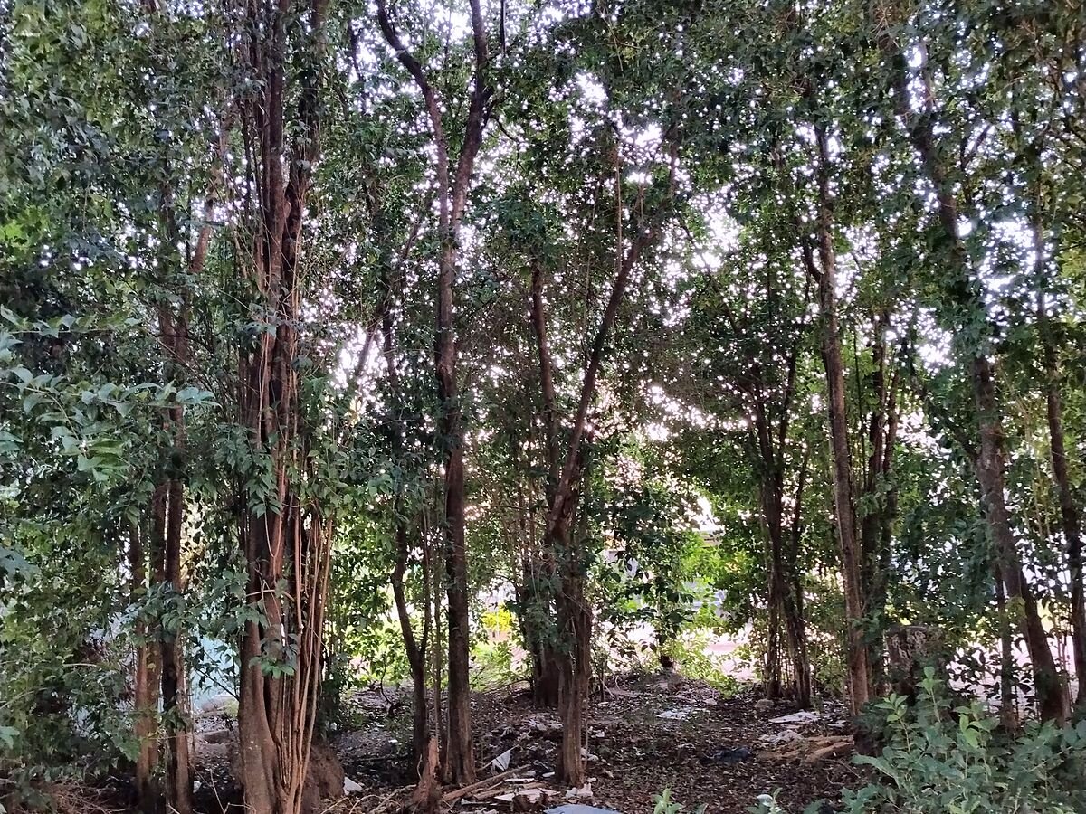 Lote en venta 300 m² con escritura en Campos Verdes, Villa Catalina, Río Ceballos - 3