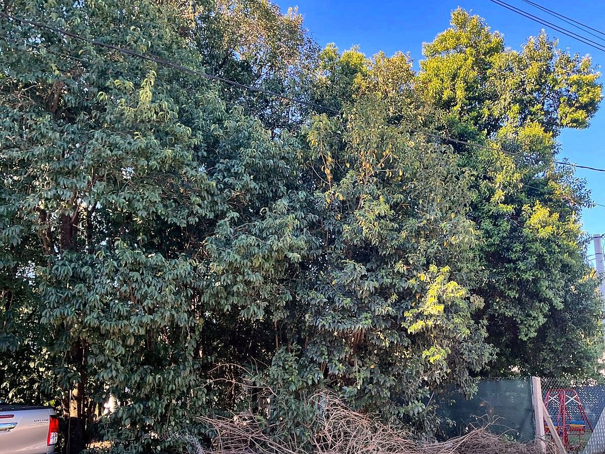 Lote en venta 300 m² con escritura en Campos Verdes, Villa Catalina, Río Ceballos - 2