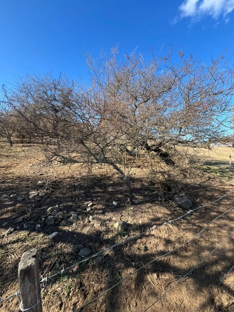 Los Espinillos. Córdoba. Lote Con Bajada Al Rio - 13