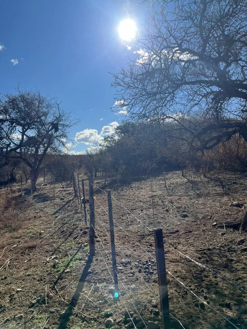 Los Espinillos. Córdoba. Lote Con Bajada Al Rio - 10