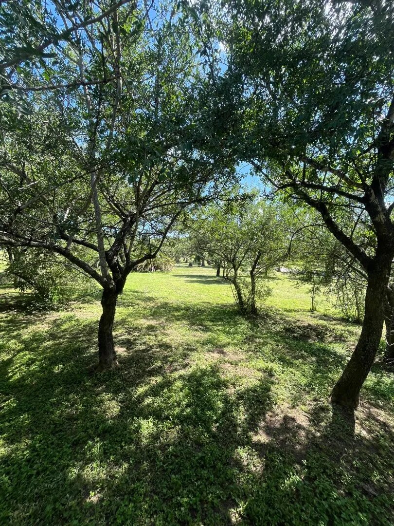 Lote Premium Fondo Golf 1500m² Con Vistas A La Cancha - 6