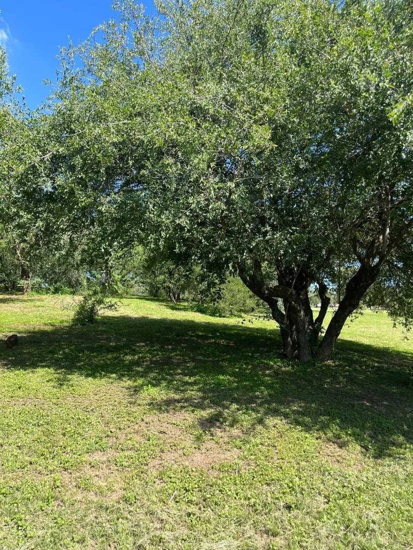 Lote Premium Fondo Golf 1500m² Con Vistas A La Cancha - 11