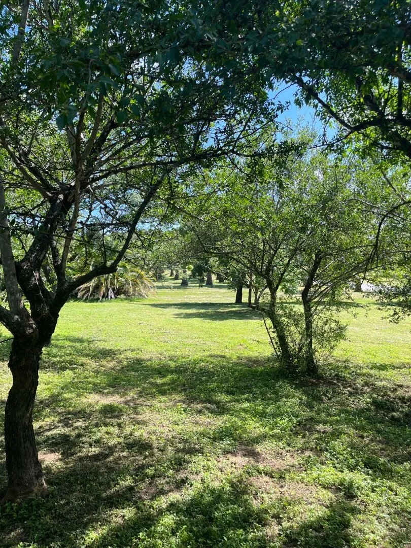 Lote Premium Fondo Golf 1500m² Con Vistas A La Cancha - 5
