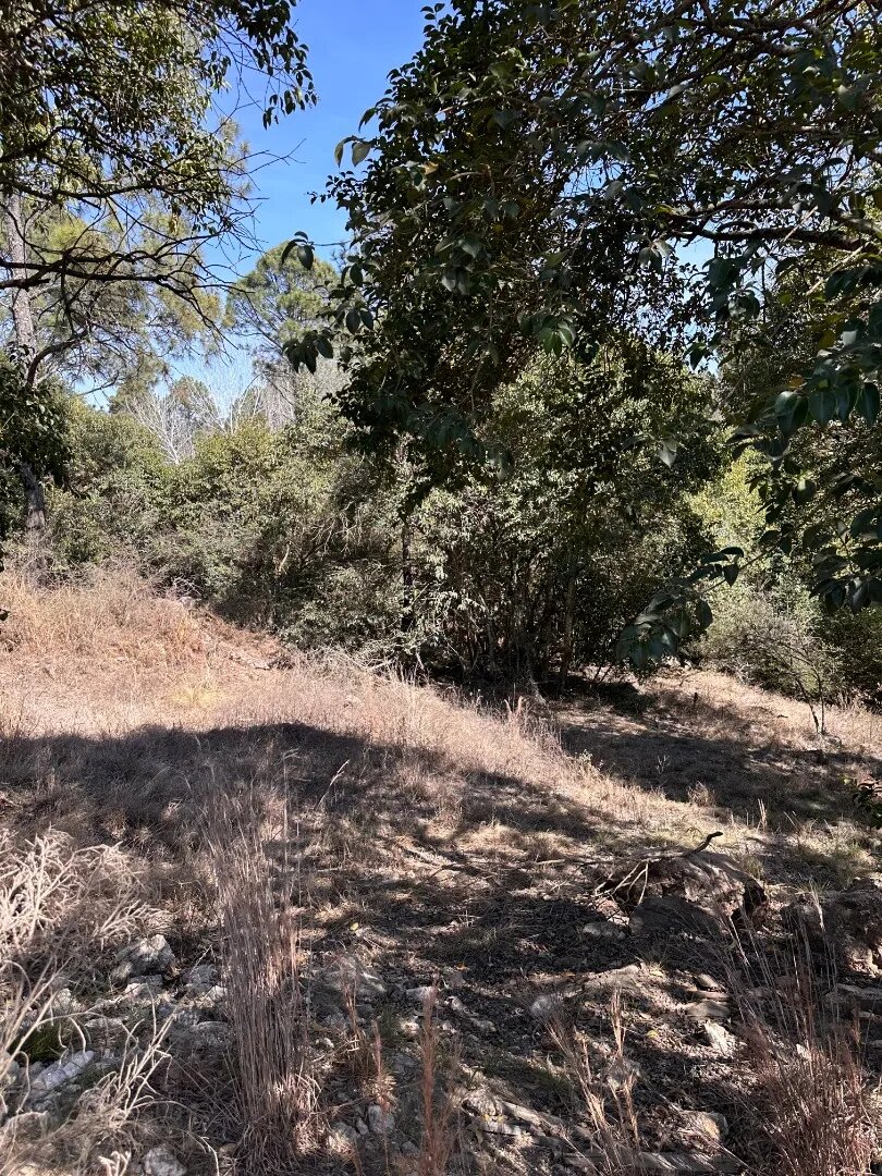 Lotes De 800m² - Potrero De Garay, A Metros Del Lago - 4