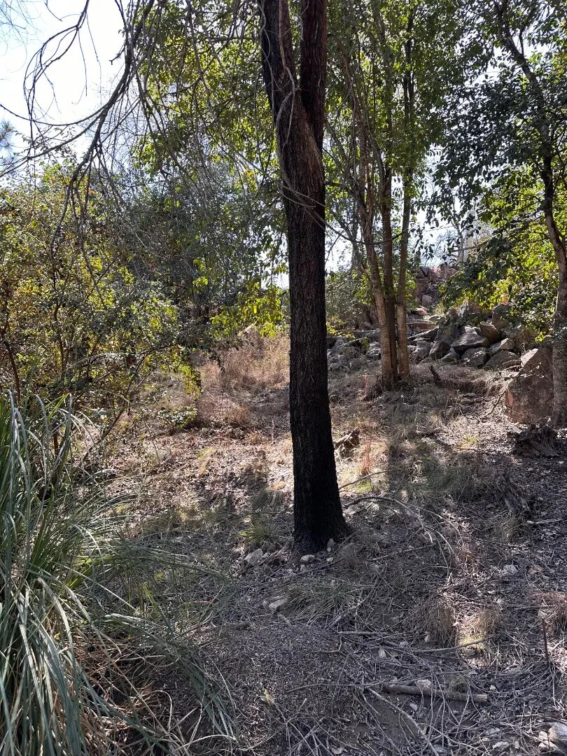 Lotes De 800m² - Potrero De Garay, A Metros Del Lago - 5