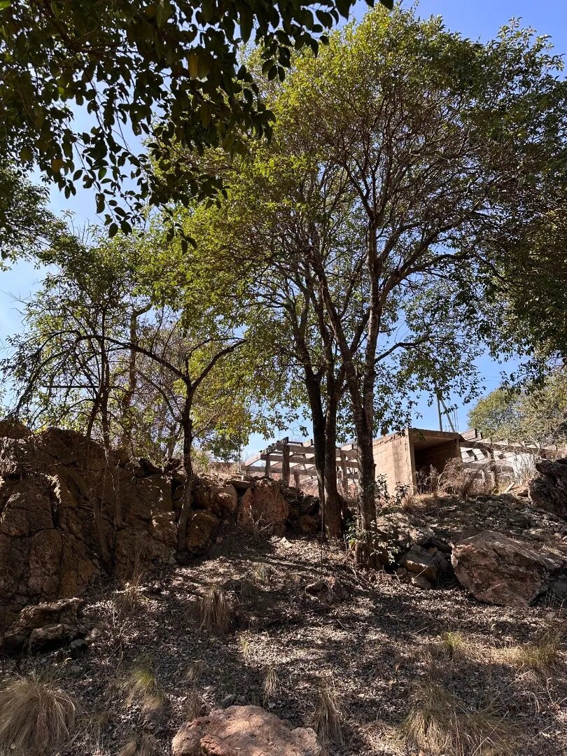Lotes De 800m² - Potrero De Garay, A Metros Del Lago - 2