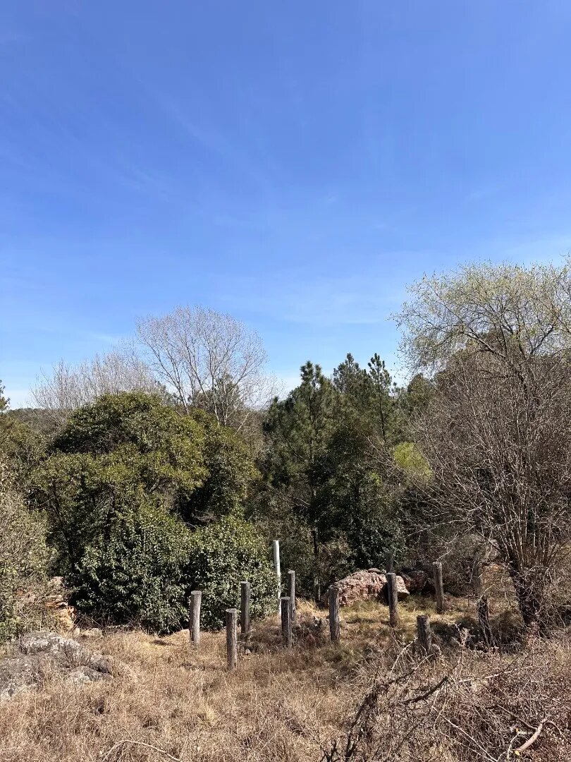 Lotes De 800m² - Potrero De Garay, A Metros Del Lago - 10