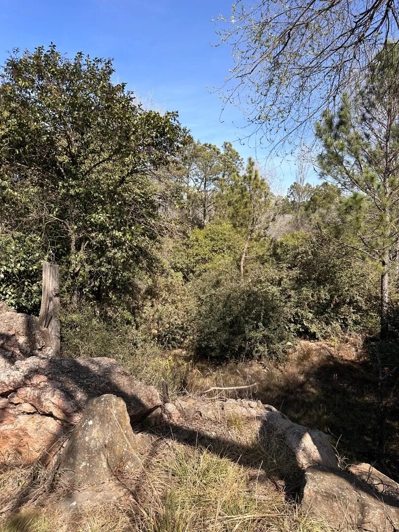 Lotes De 800m² - Potrero De Garay, A Metros Del Lago - 3