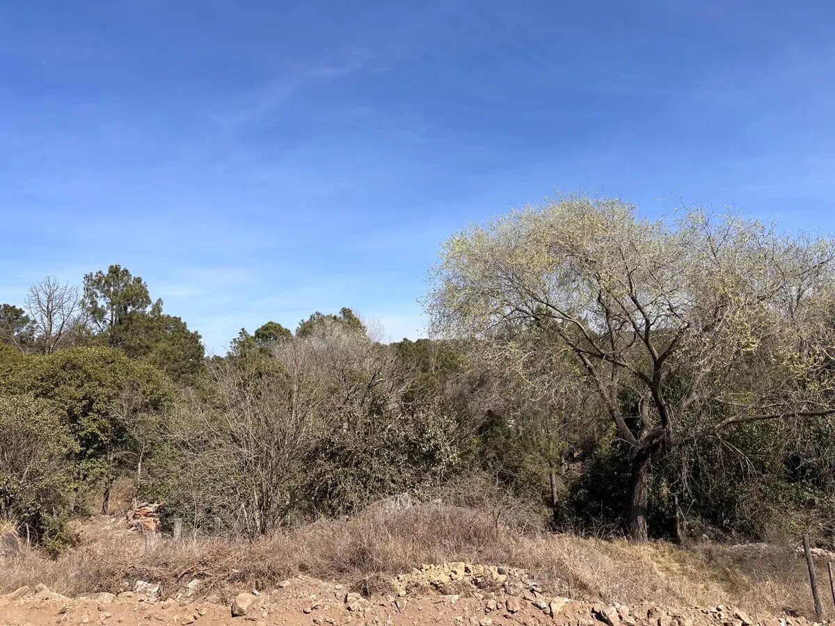 Lotes De 800m² - Potrero De Garay, A Metros Del Lago - 9