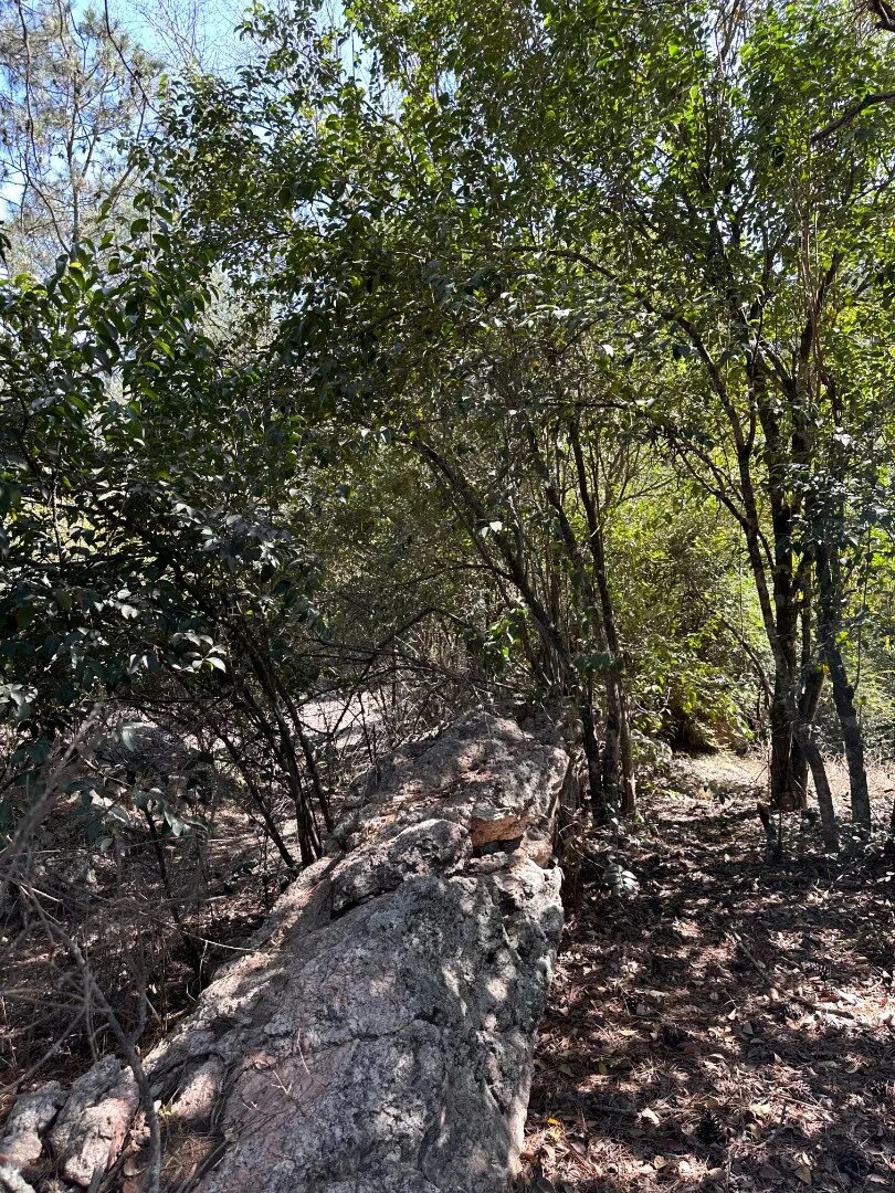Lotes De 800m² - Potrero De Garay, A Metros Del Lago - 8