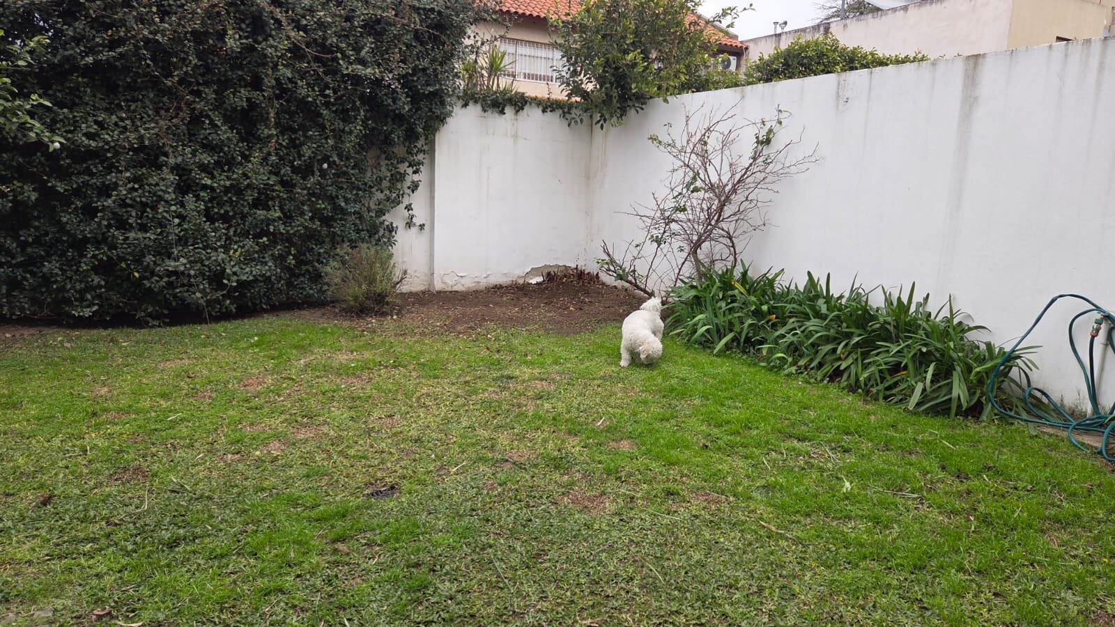 Alquiler Duplex Jardines del Jockey - Imagen 7