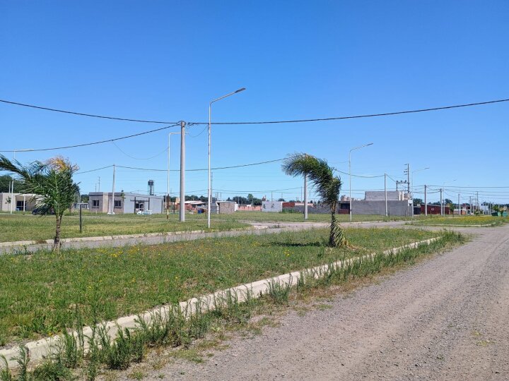 Terrenos - Ricardone - Venta