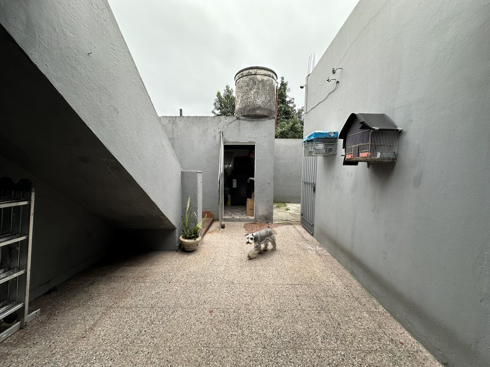 CASA AMERICANA CON FONDO LIBRE — foto 5