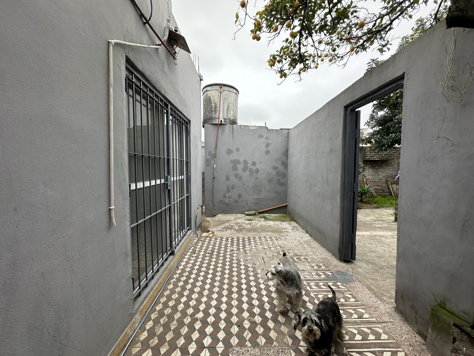 CASA AMERICANA CON FONDO LIBRE — foto 4