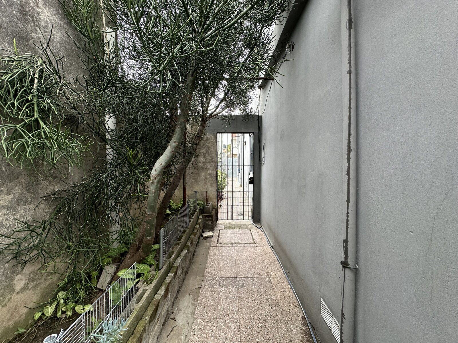 CASA AMERICANA CON FONDO LIBRE — foto 3