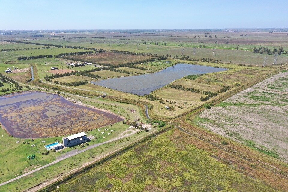 Fraccion / Campo 12 Ha. en funes - 13