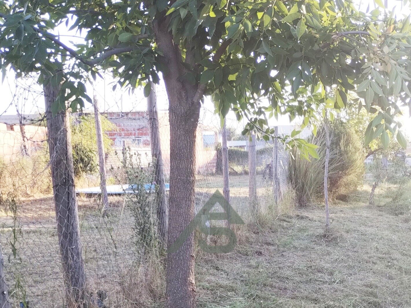 Lote 48 en San Pedro, ideal para tu casa de fin de semana! OPORTUNIDAD - 4