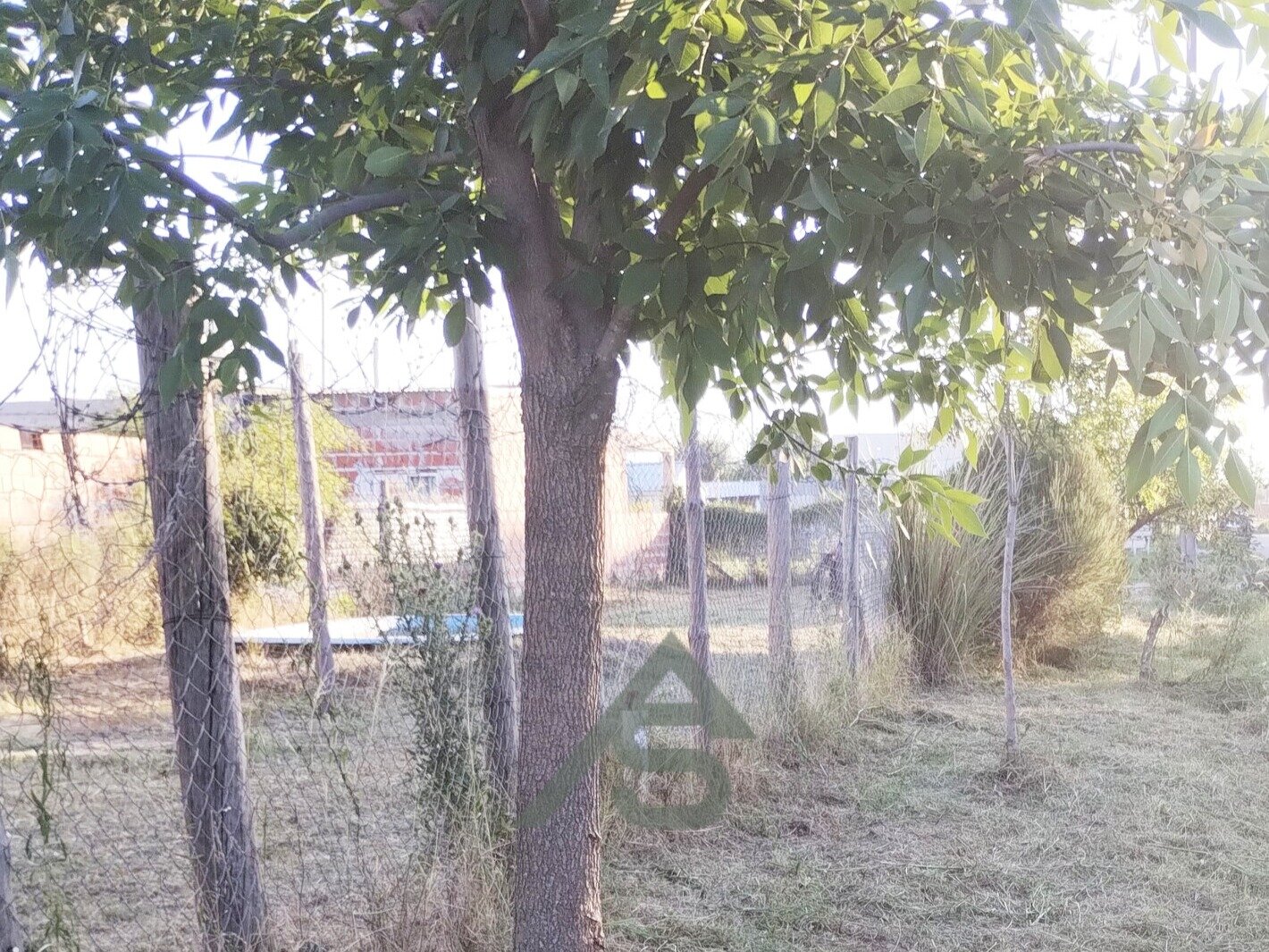 Lote 56 en San Pedro, ideal para tu casa de fin de semana! OPORTUNIDAD - 5