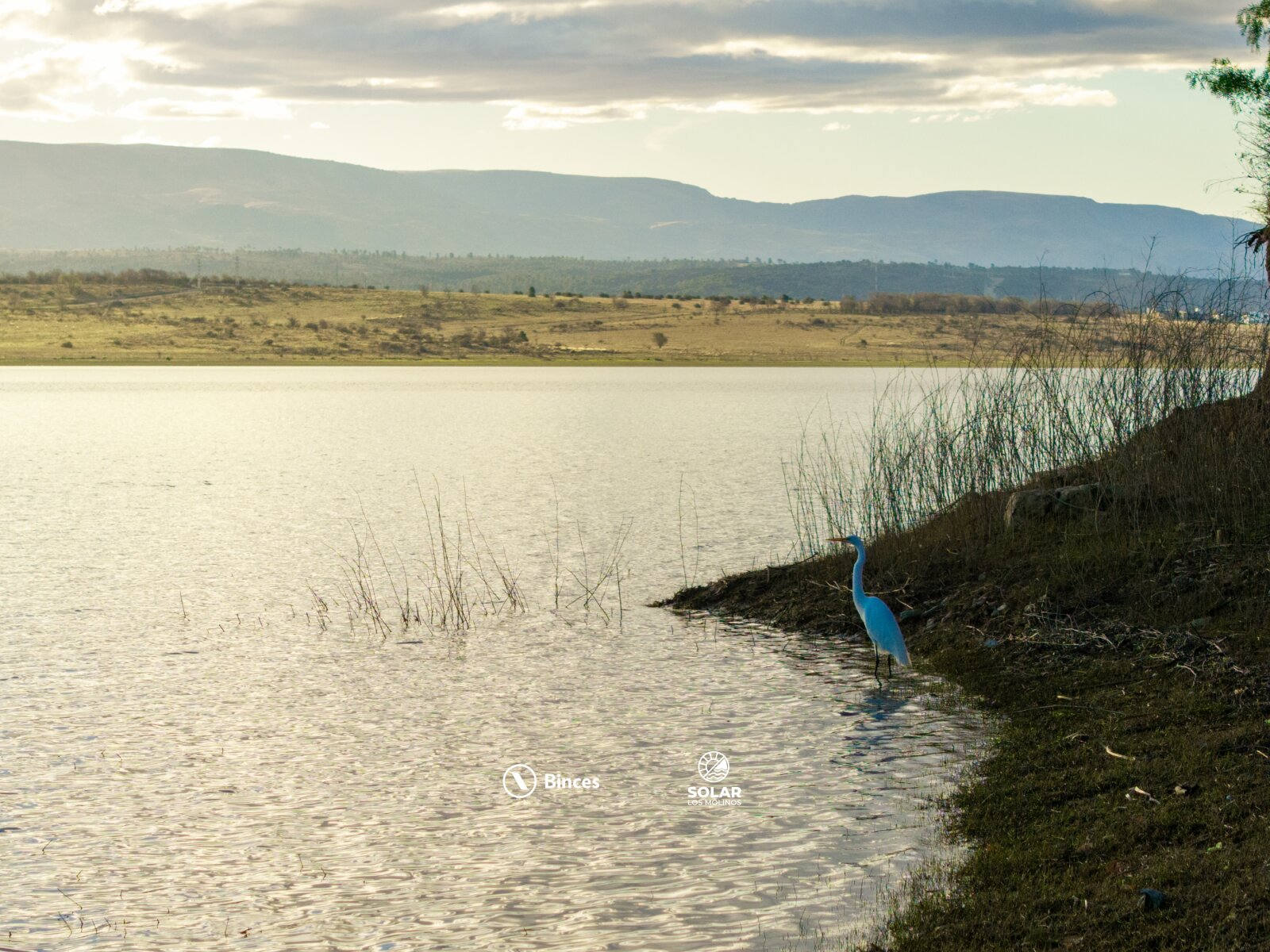 TU LOTE ENTRE EL LAGO Y LAS SIERRAS | SOLAR LOS MOLINOS — foto 8