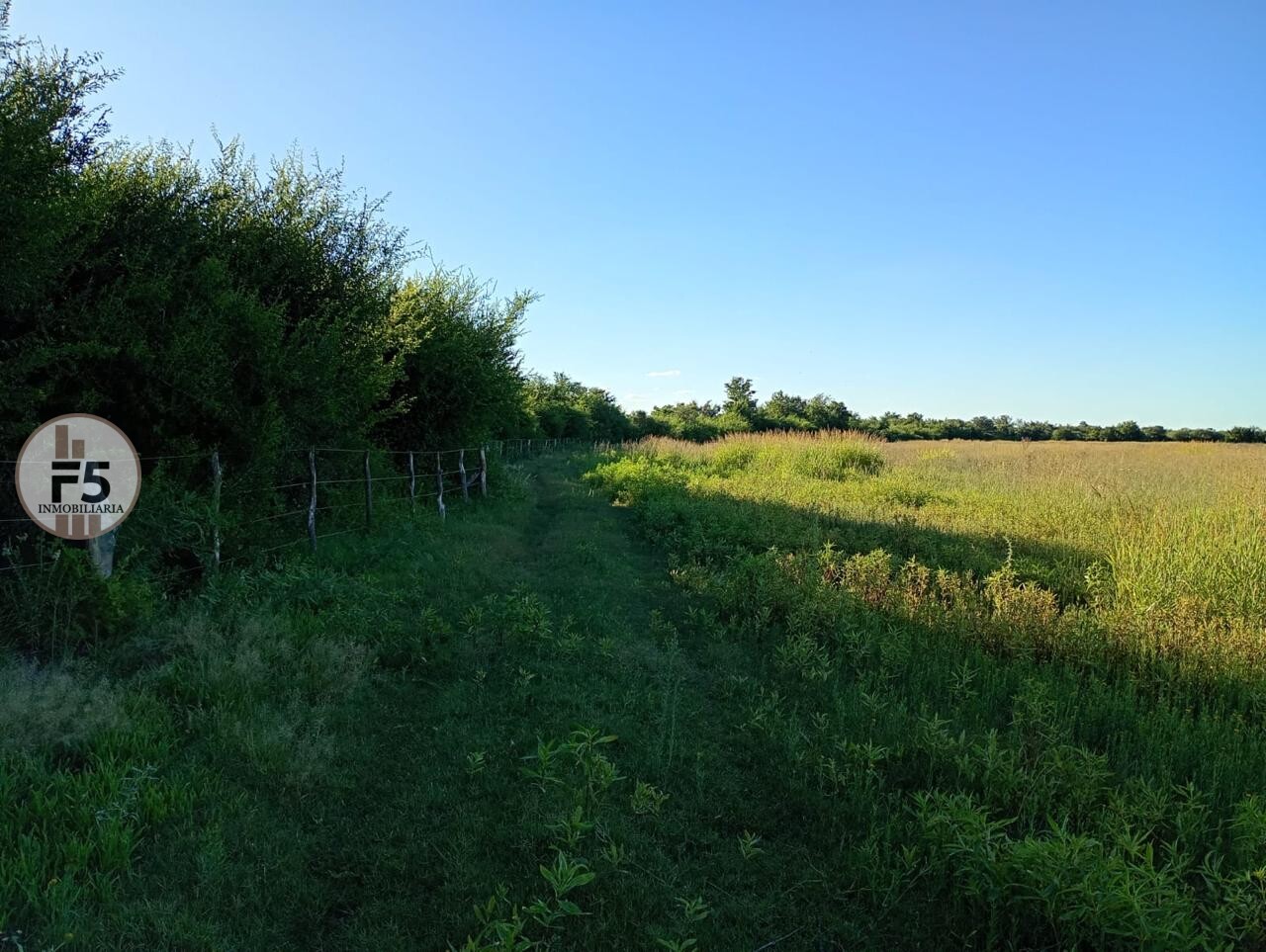 Venta de Campo en Los Romeros - Imagen 3