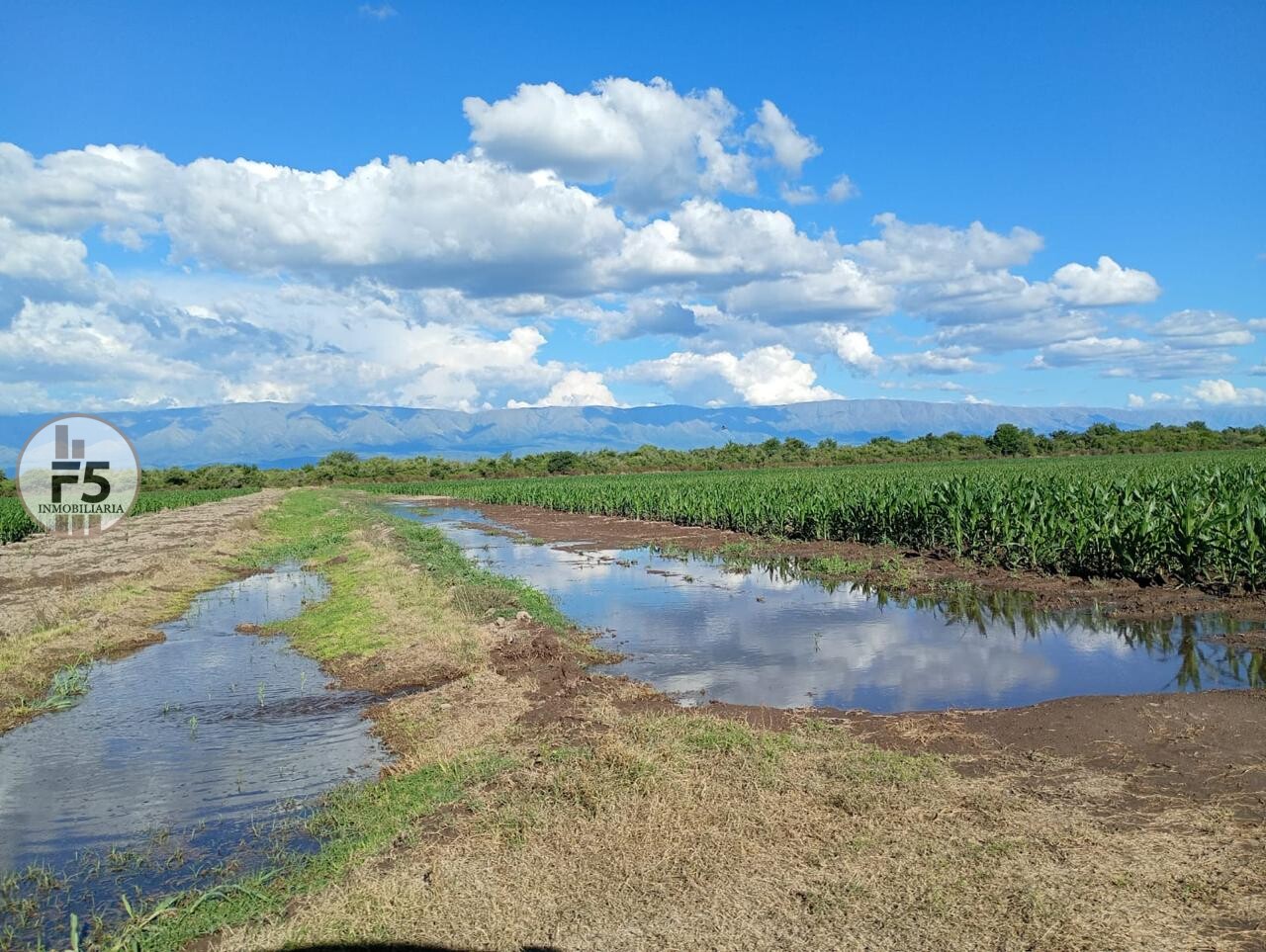 Venta de Campo en Los Romeros - Imagen 2