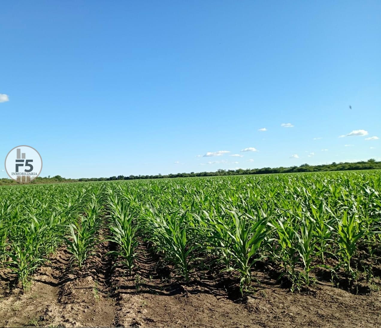 Venta de Campo en Los Romeros