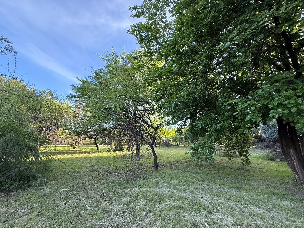VENDO LOTE S/E53 RIO CEBALLOS -TERRENO - Imagen 7