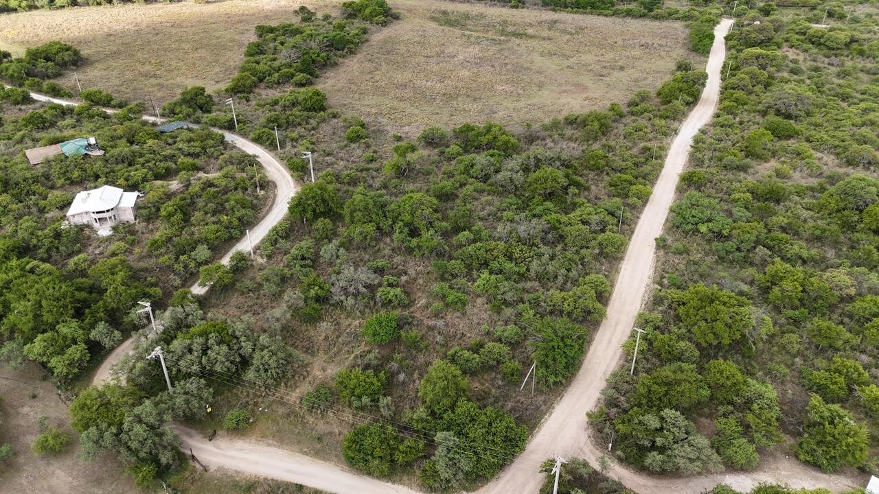 VENDO HECTAREA CAMINO A LA PAISANITA CON ESCRITURA - Imagen 4