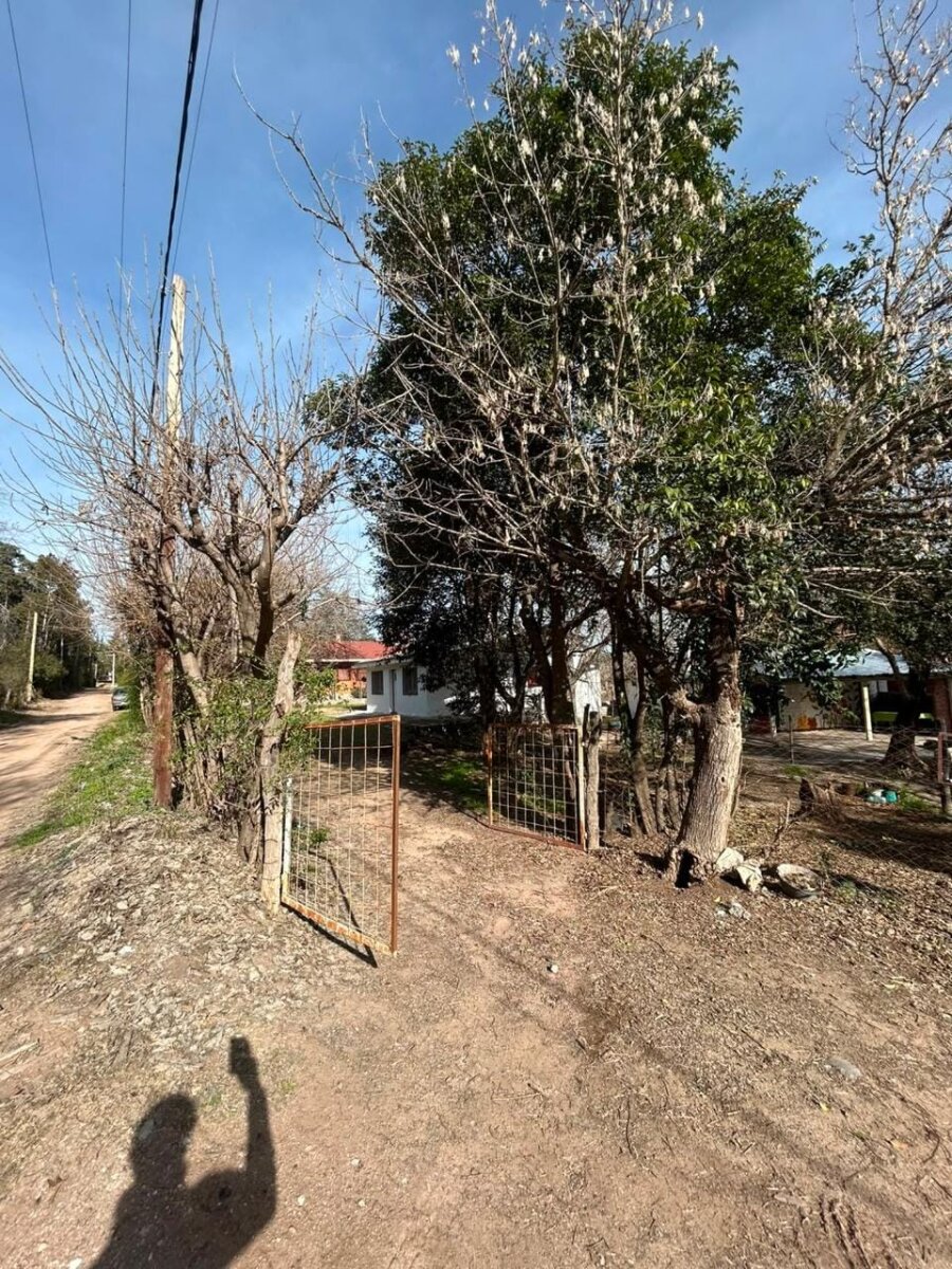 VENDO CASA LAS RABONAS - Imagen 16