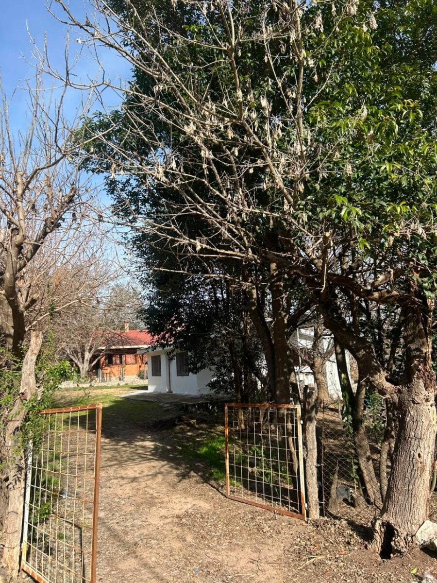 VENDO CASA LAS RABONAS - Imagen 21