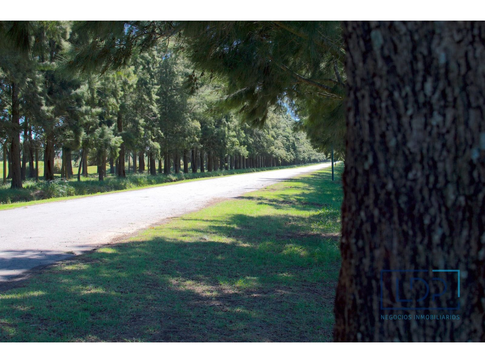 Venta LOTE en barrio cerrado Haras de Funes - 11