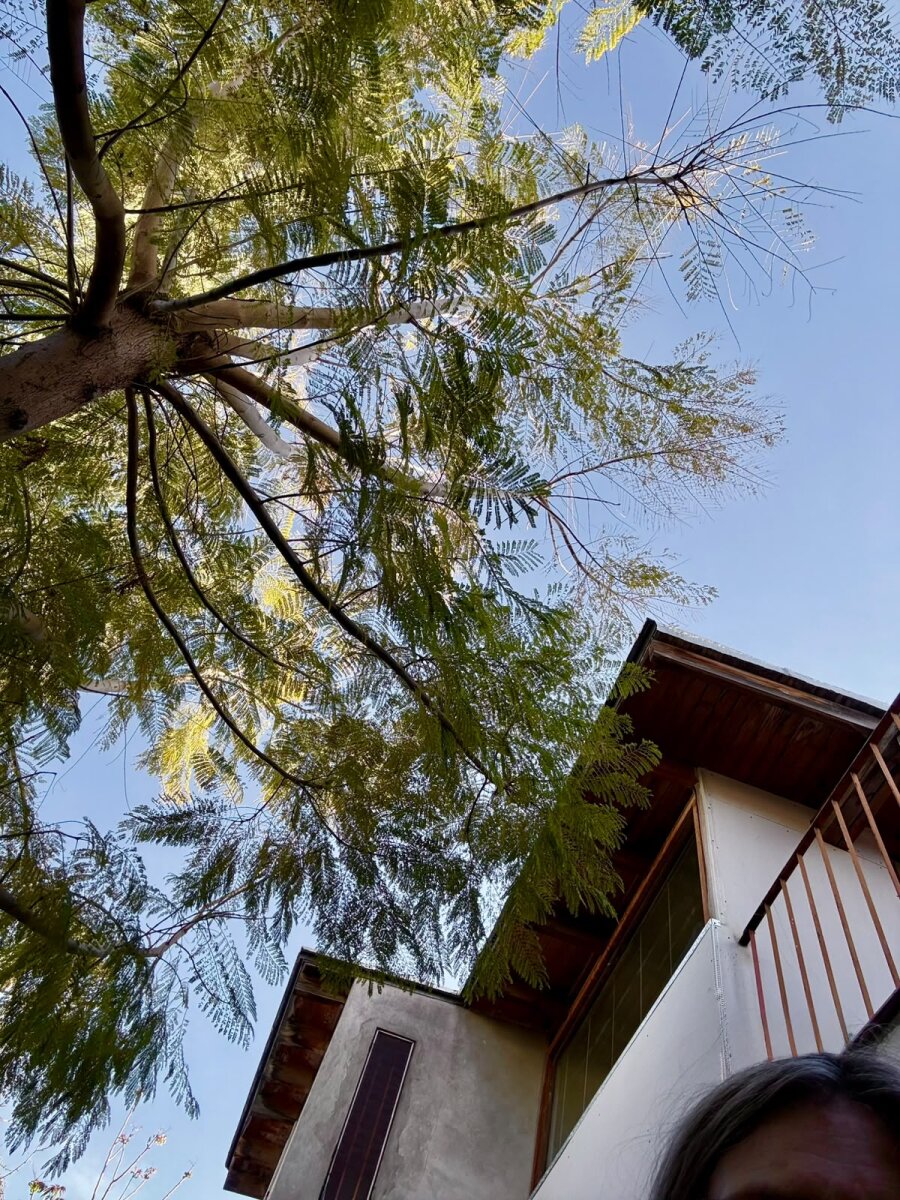 ALQUILAMOS HERMOSA CASA TIPO CHALET AMERICANO EN BARRIO BOMBAL GODOY CRUZ - 49