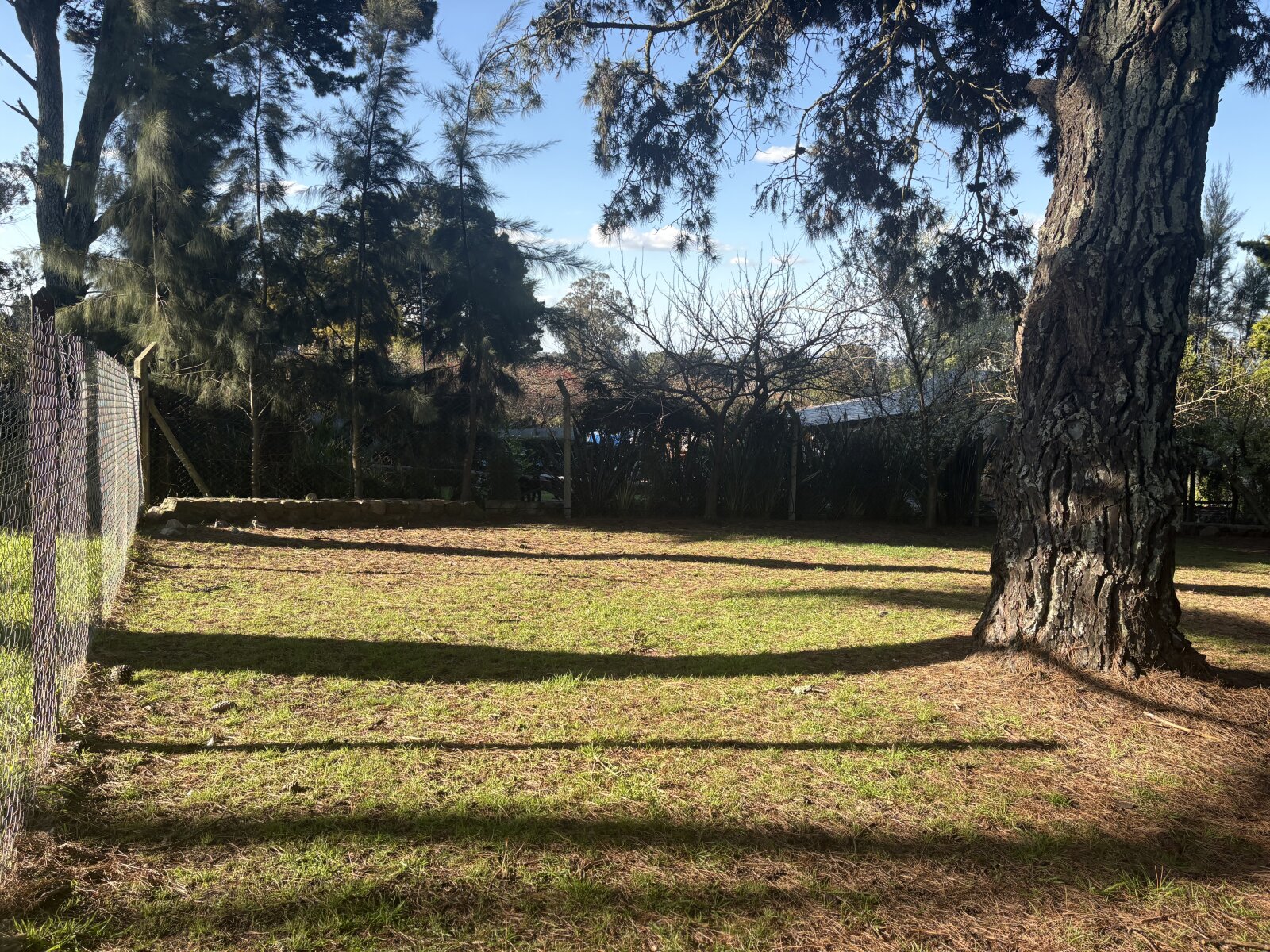 Lote Sierra de Los Padres — foto 11