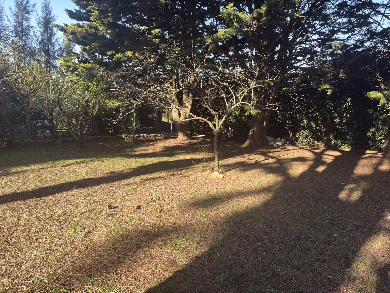 Lote Sierra de Los Padres — foto 10
