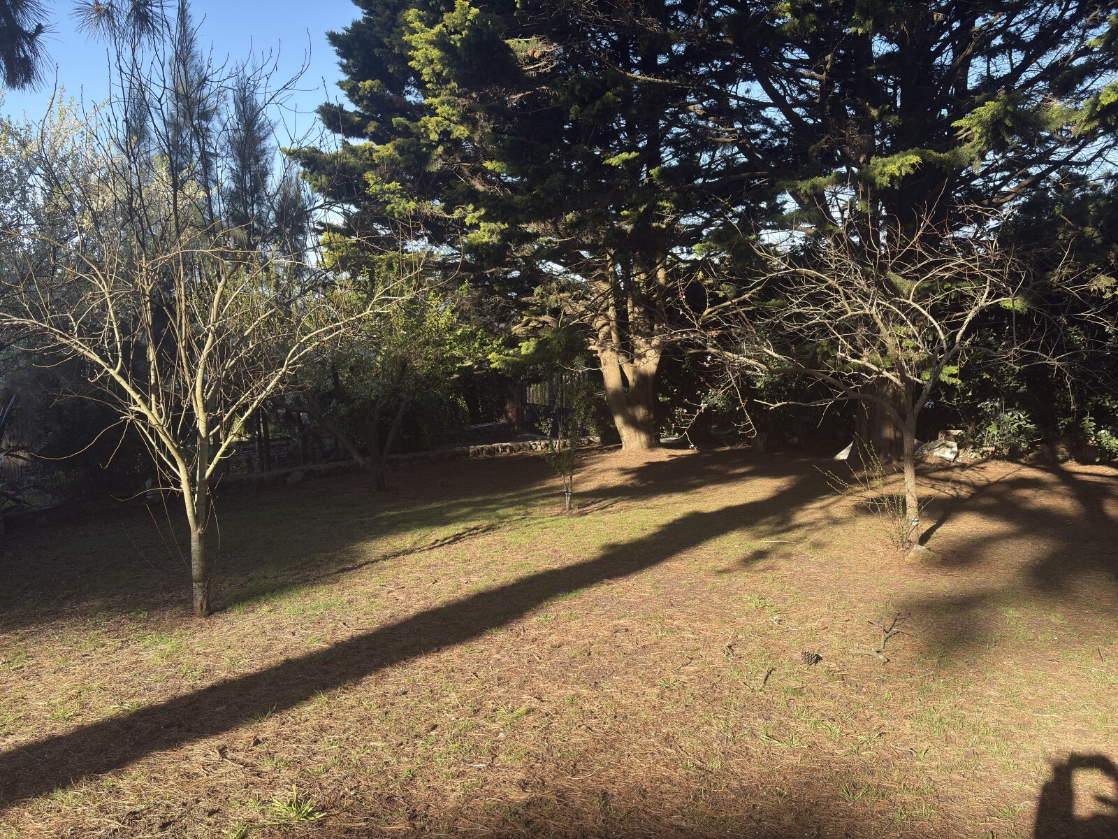Lote Sierra de Los Padres — foto 12