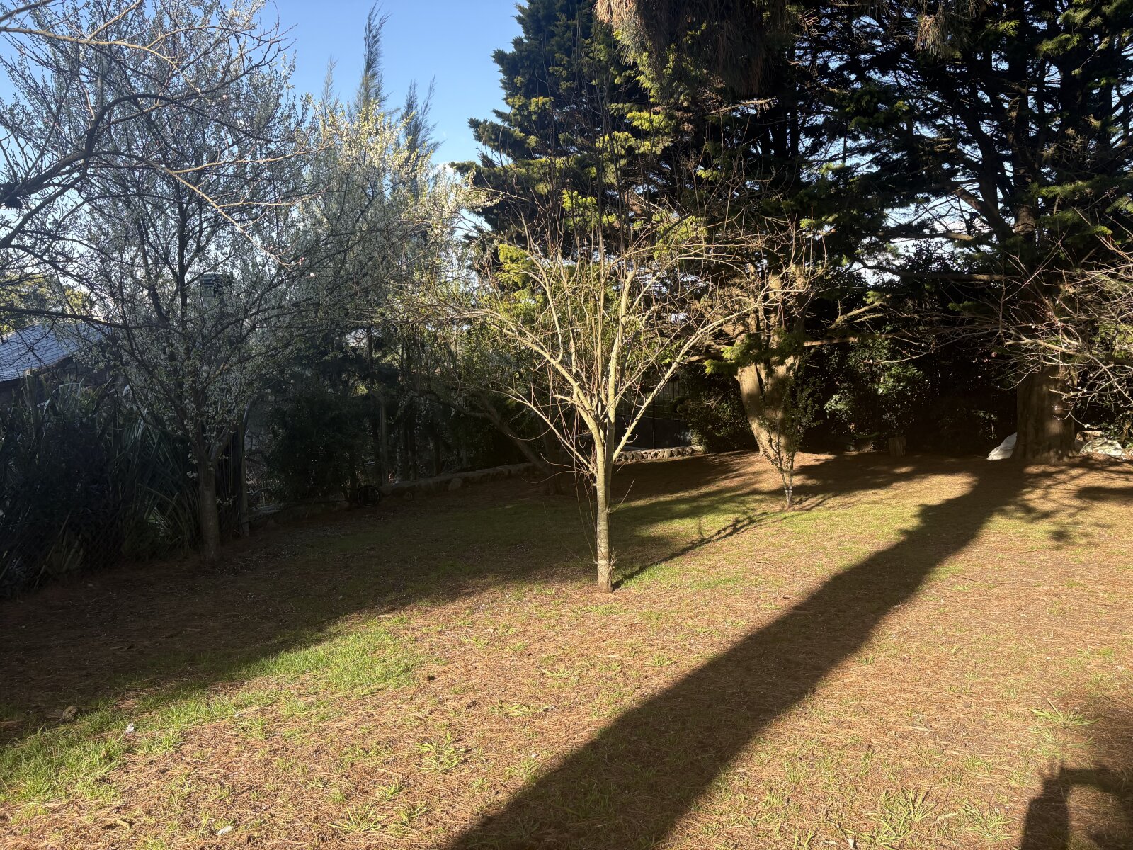 Lote Sierra de Los Padres — foto 8