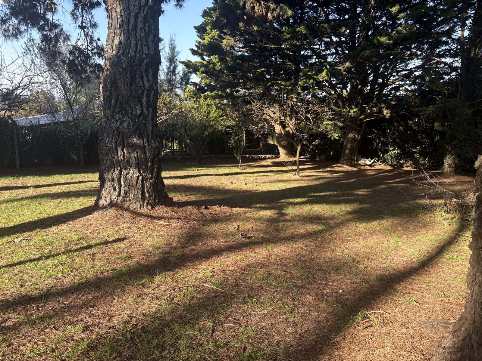 Lote Sierra de Los Padres — foto 13