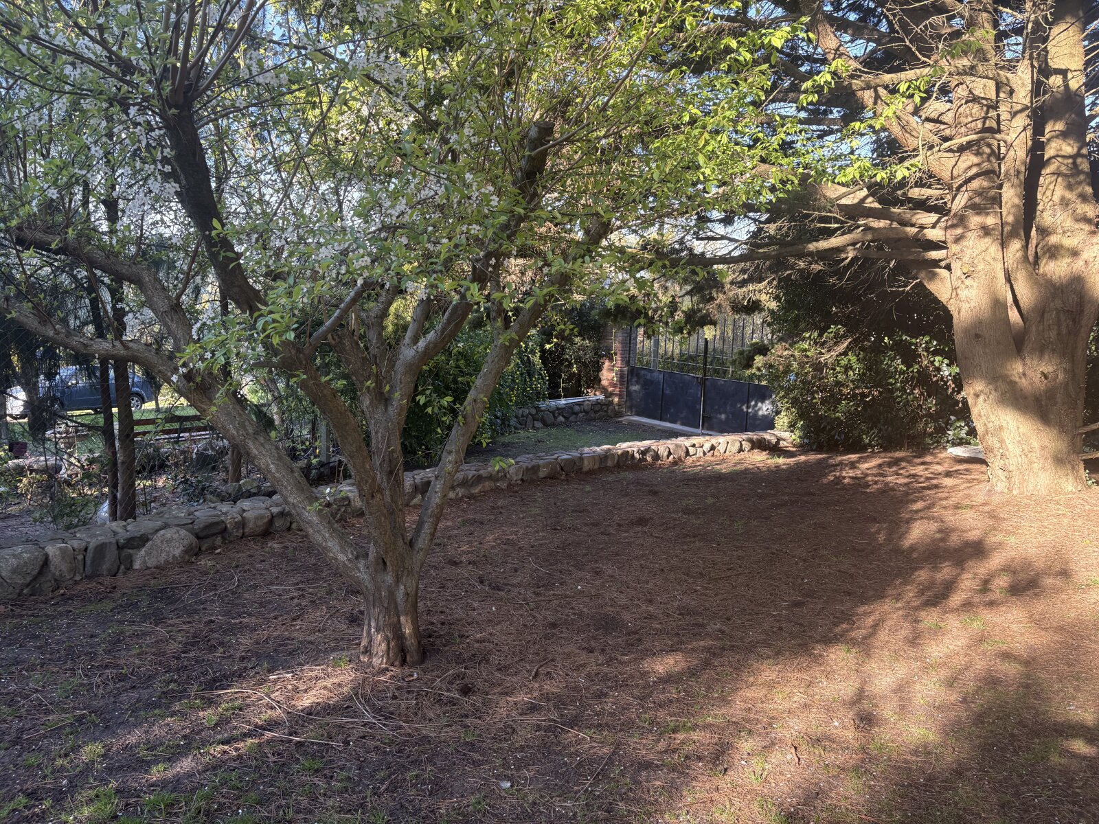 Lote Sierra de Los Padres — foto 14