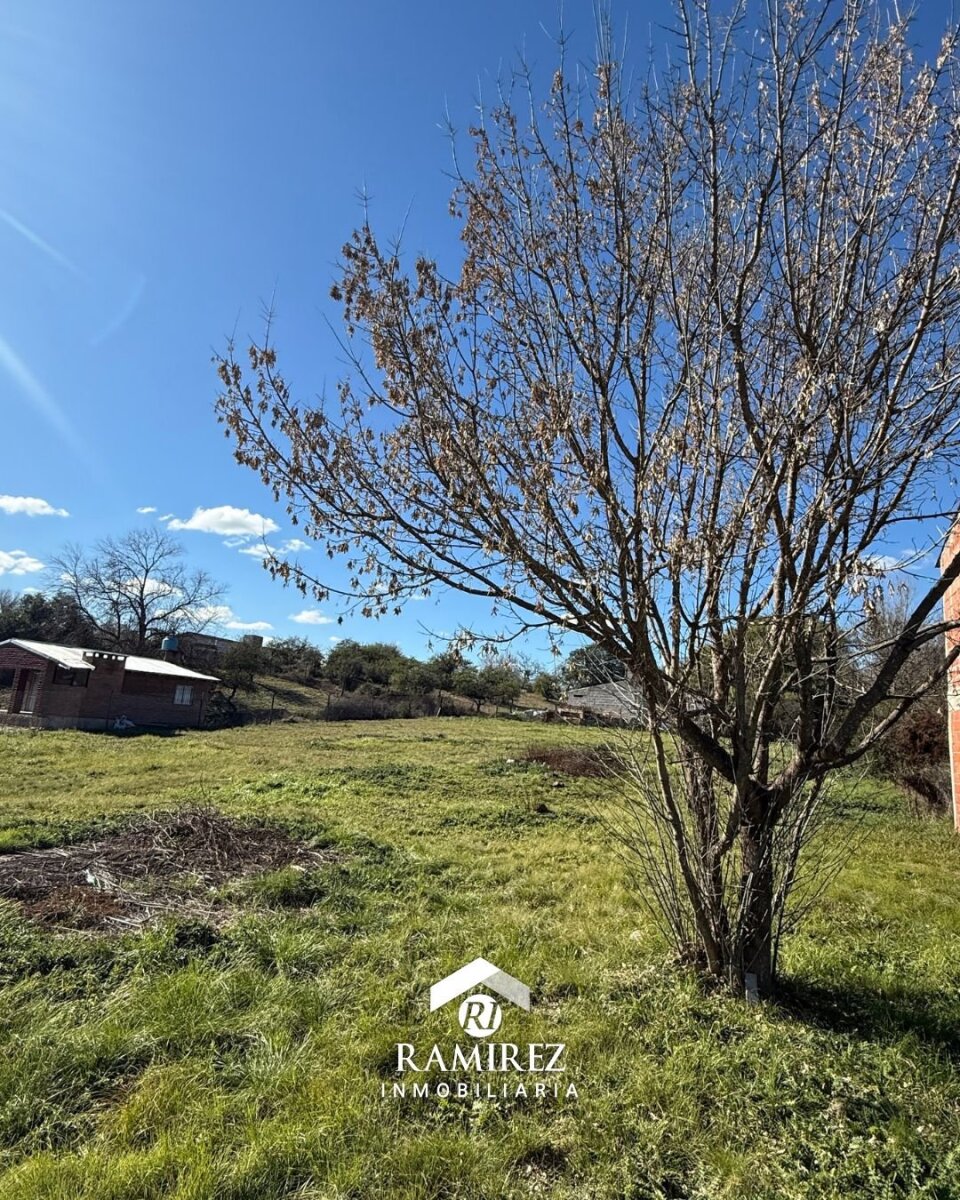 LOTE EN VENTA – SANTA ROSA DE CALAMUCHITA (LT107) - Imagen 6