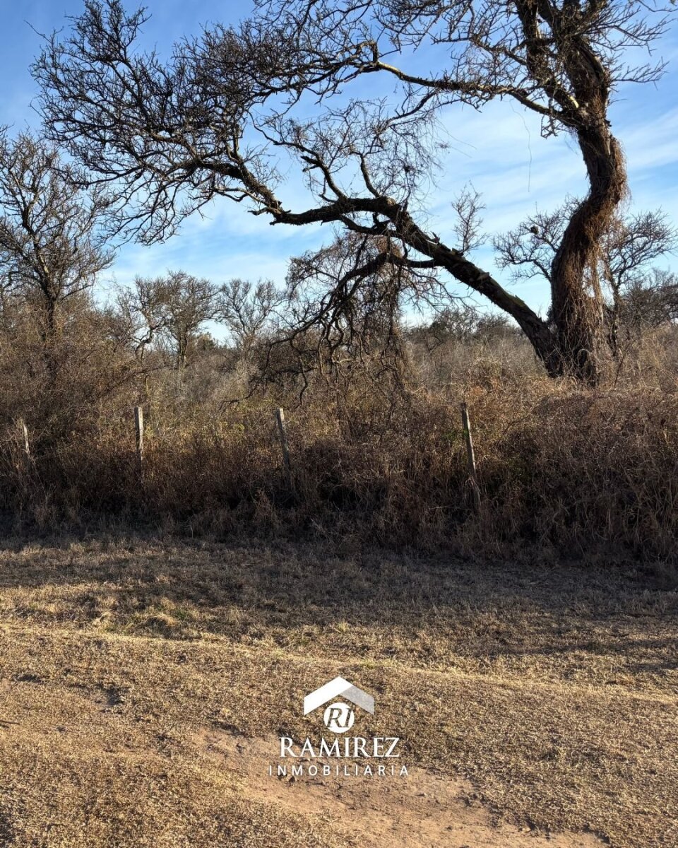 LOTE EN VENTA – SAN IGNACIO (LT45) - Imagen 4