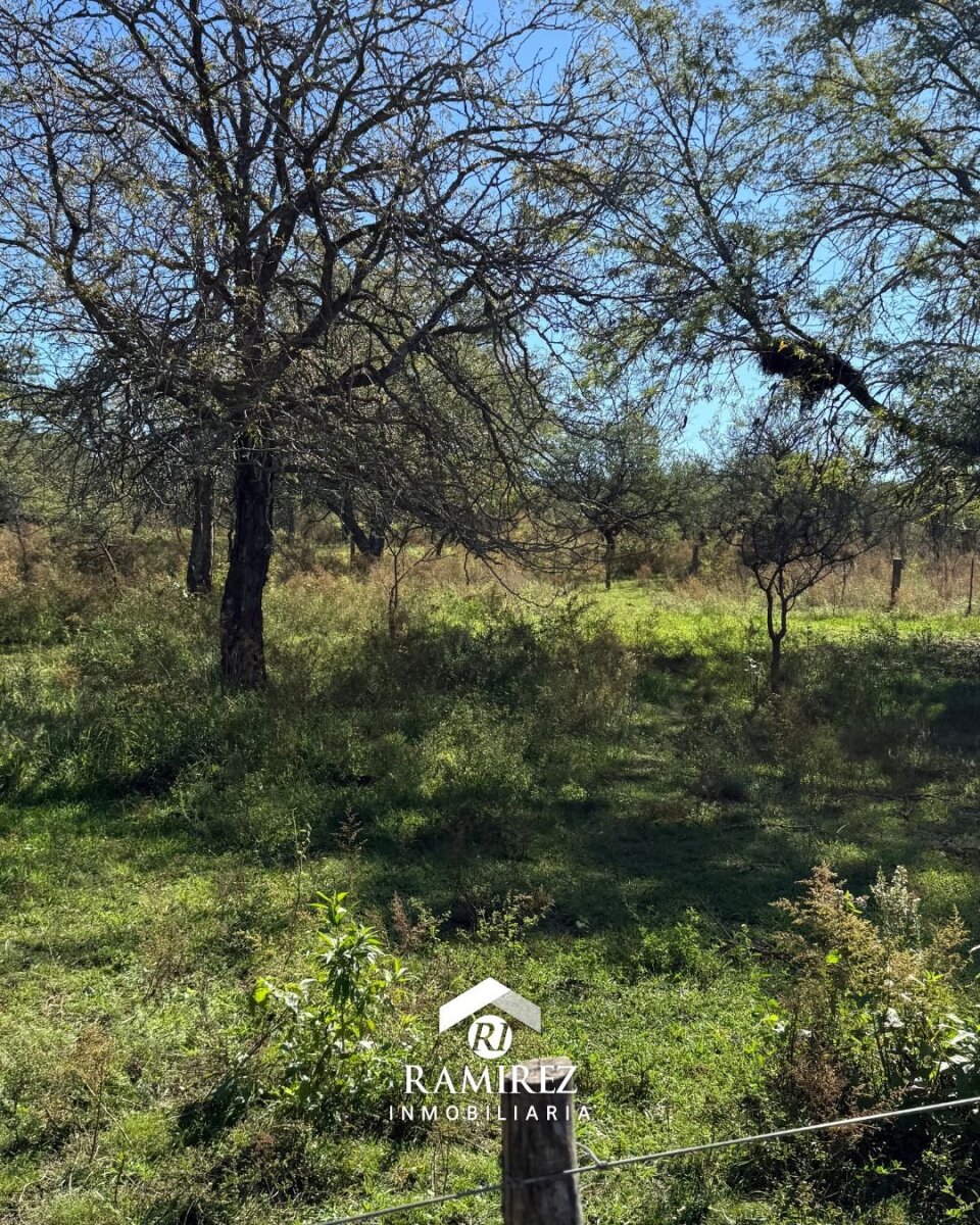 LOTE EN VENTA – SAN IGNACIO (LT101) - Imagen 2