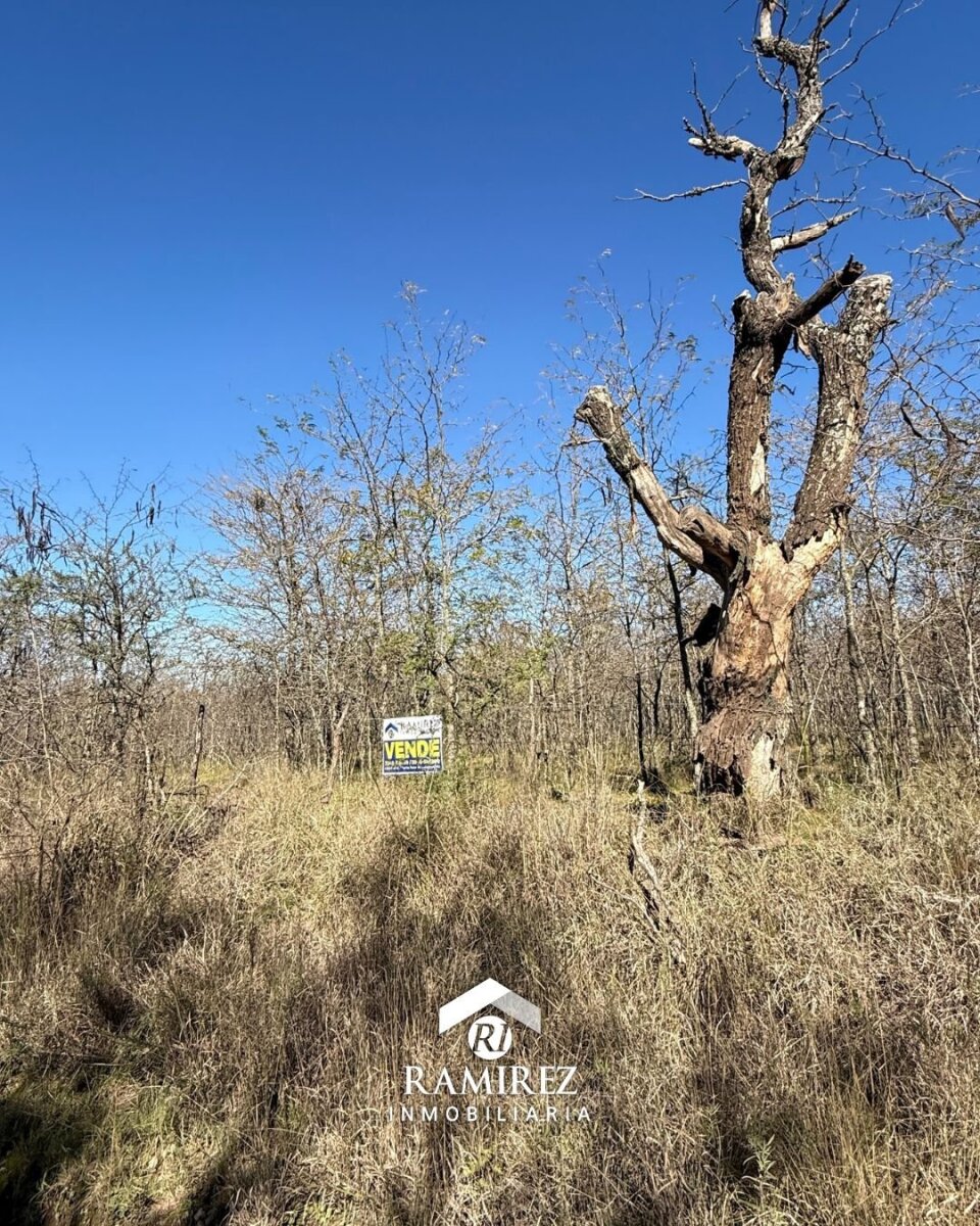 LOTE EN VENTA – SAN IGNACIO (LT99)