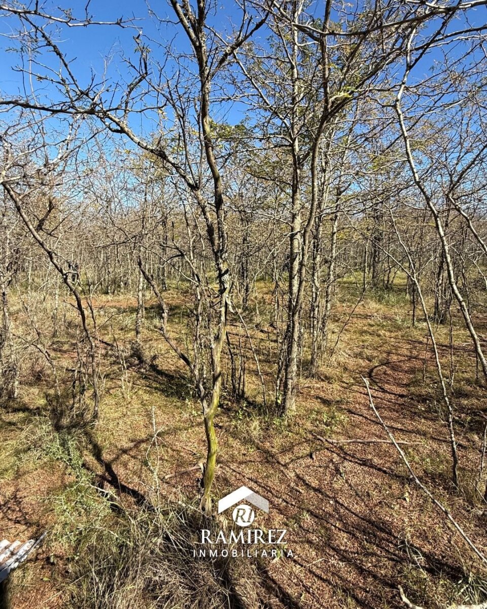 LOTE EN VENTA – SAN IGNACIO (LT99) - Imagen 4